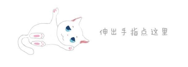 猫咪排斥猫窝却喜欢纸箱，铲屎官无奈拿出废旧凳子才令爱猫满意