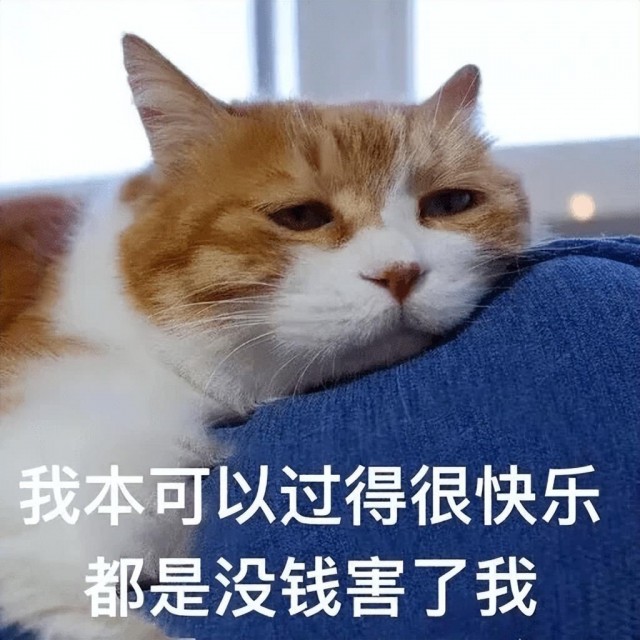 猫咪一定要看：猫咪老了，身体和行为有什么变化？