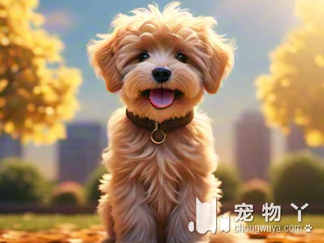 萨摩耶犬的最大身高？